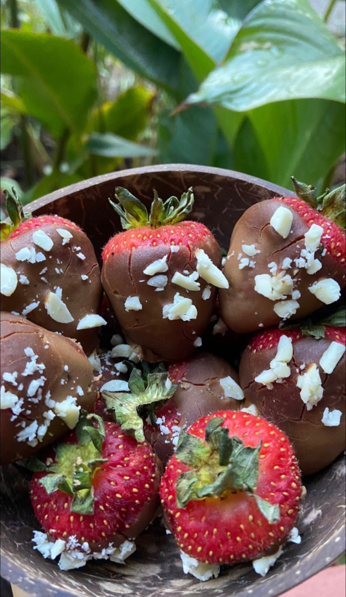 Powdered PB+ - Macro Mike - Chocolate Dipped Strawberries | MAK Fitness